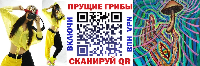 где найти наркотики  это Telegram  Псилоцибиновые грибы MAGIC MUSHROOMS  Нефтекумск 