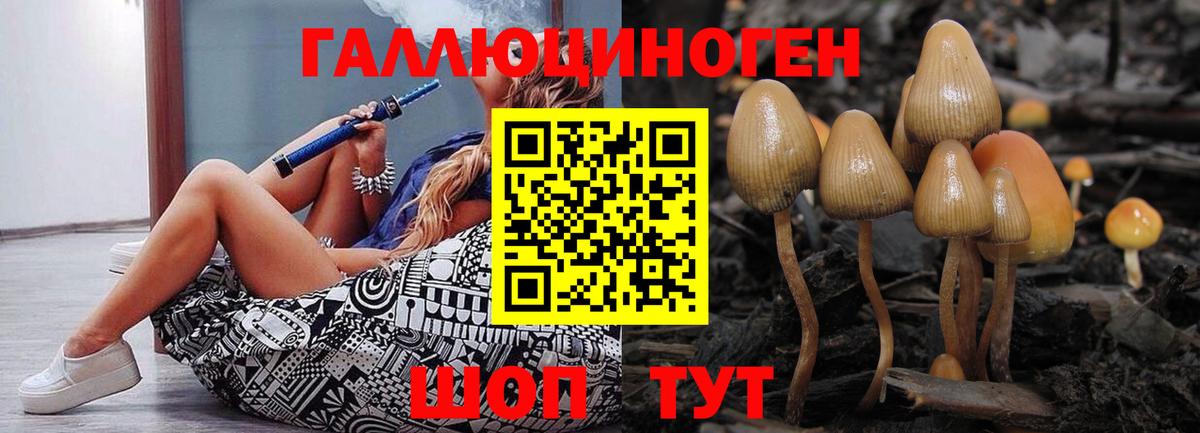 Нефтекумск  Псилоцибиновые грибы Cubensis  Вход с VPN 
